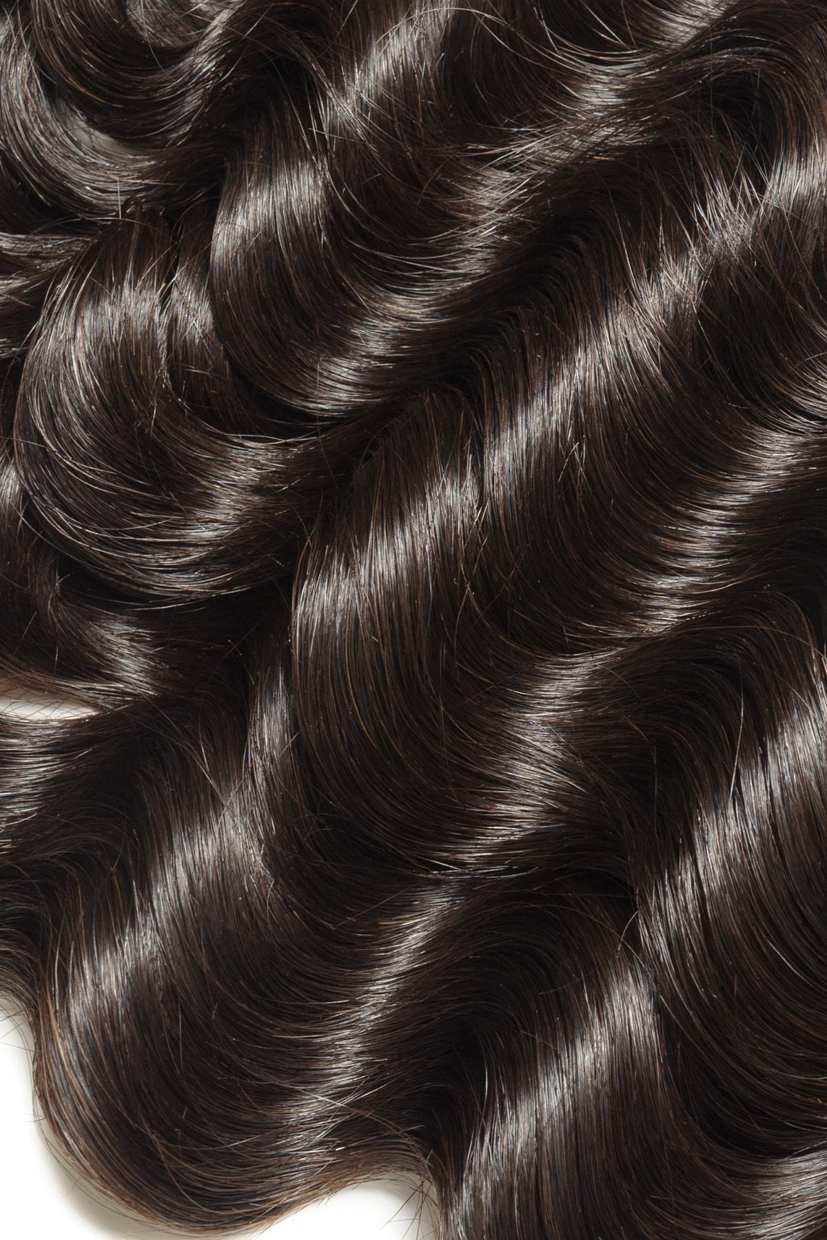 Sole' Curly